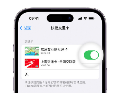 新城街道apple维修点分享iPhone上更换Apple Pay快捷交通卡手绘卡面 