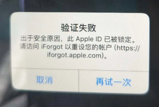 新城街道iPhone维修分享iPhone上正常登录或使用AppleID怎么办 