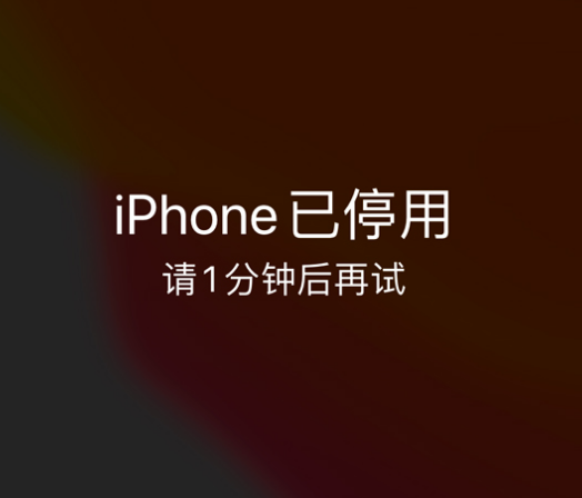 新城街道苹果手机维修分享:iPhone 显示“不可用”或“已停用”怎么办？还能保留数据吗？ 