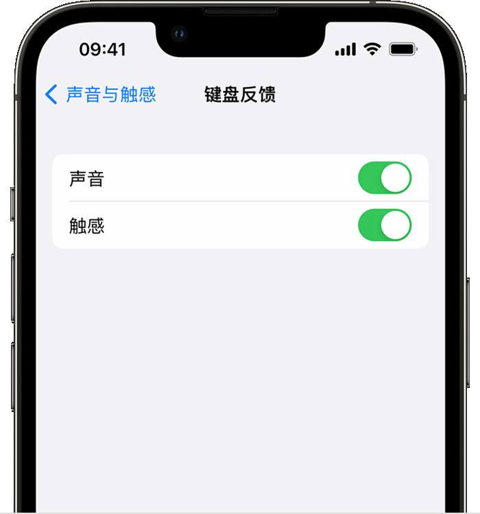 新城街道苹果14维修店分享如何在 iPhone 14 机型中使用触感键盘 