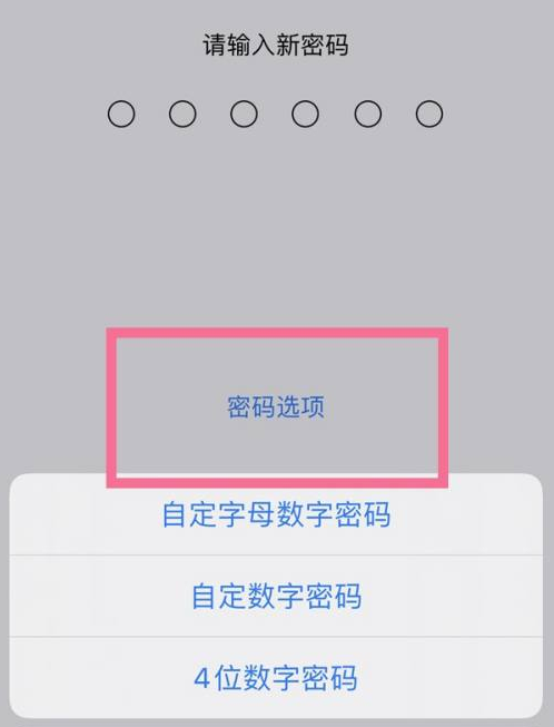 新城街道苹果14维修分享iPhone 14plus设置密码的方法 