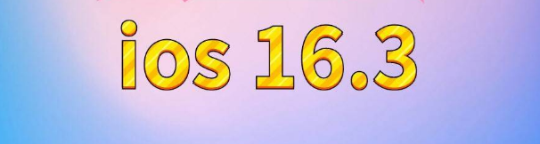 新城街道苹果服务网点分享苹果iOS16.3升级反馈汇总 