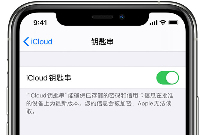 新城街道苹果手机维修分享在 iPhone 上开启 iCloud 钥匙串之后会储存哪些信息 