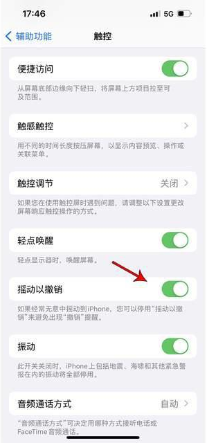新城街道苹果手机维修分享iPhone手机如何设置摇一摇删除文字 